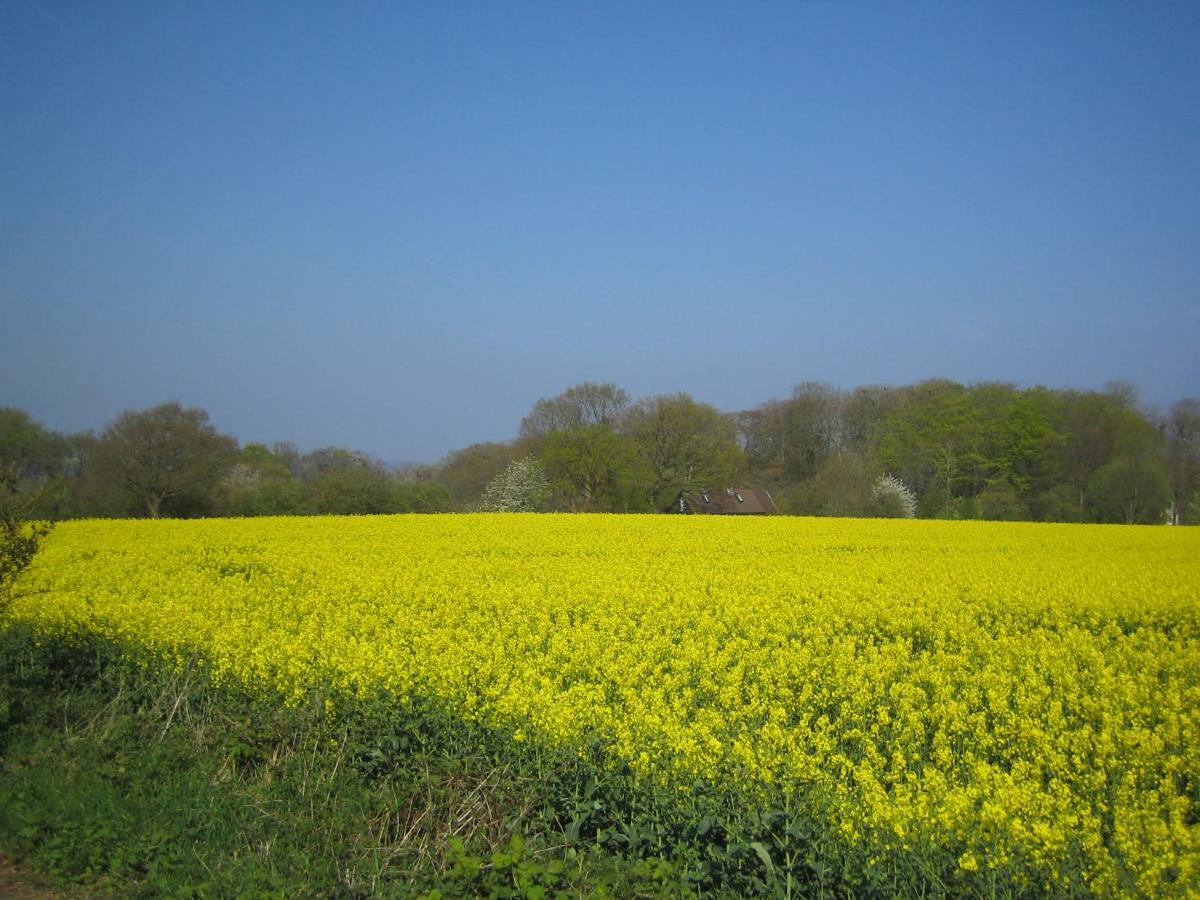Westerholz Natur Lodge Haffblick מראה חיצוני תמונה