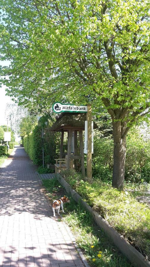 Westerholz Natur Lodge Haffblick מראה חיצוני תמונה